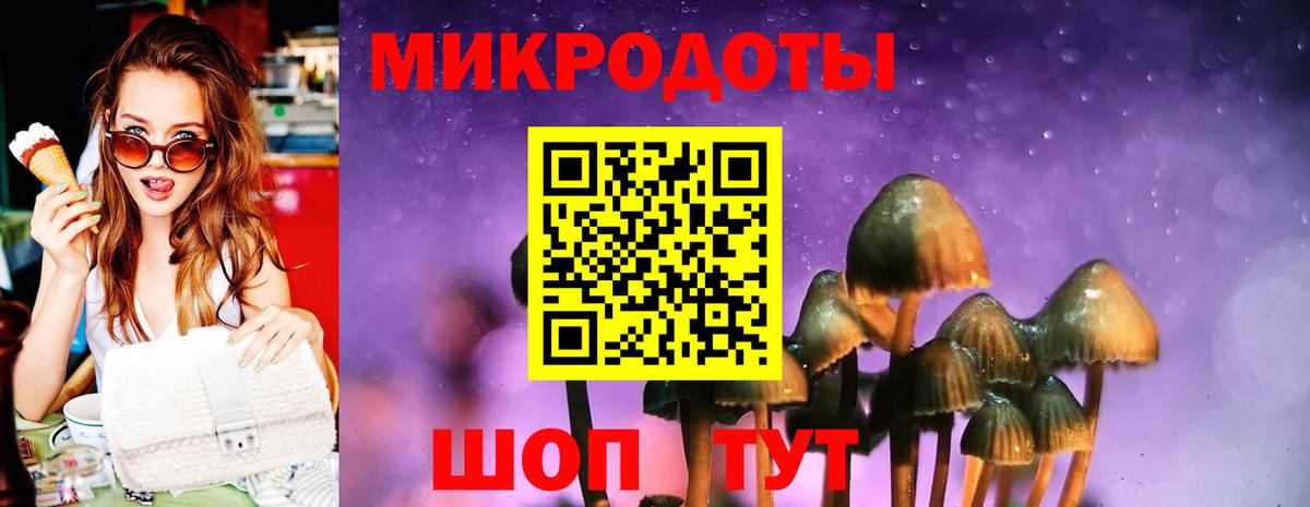 Галлюциногенные грибы Magic Shrooms  Вход с VPN  Буйнакск 